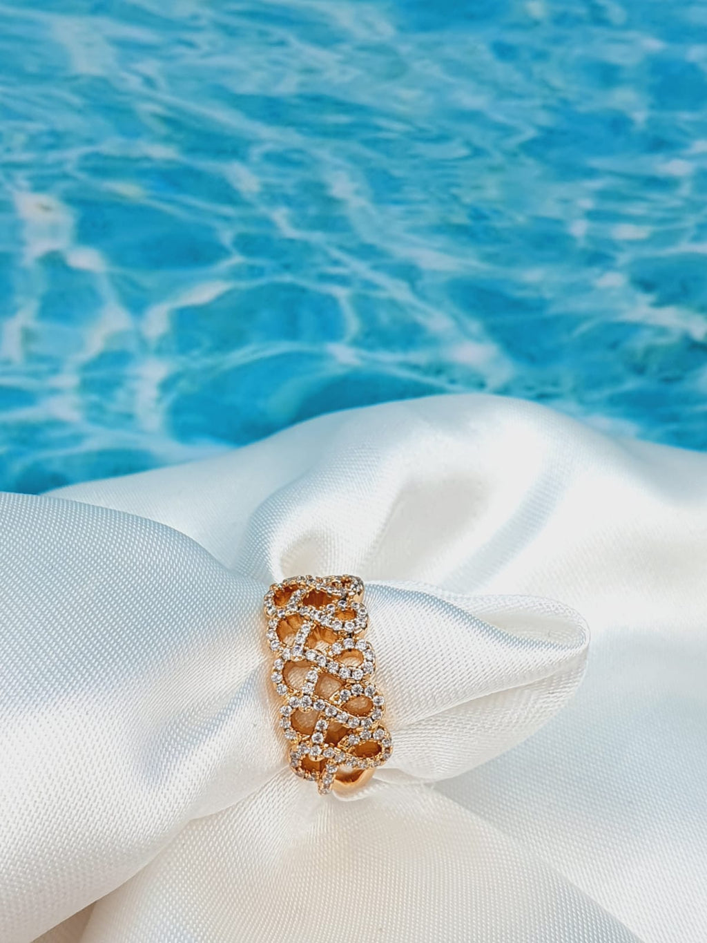 ANILLO 319