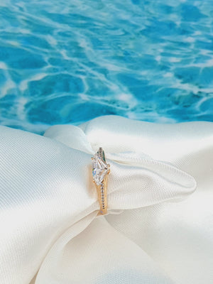 ANILLO 321