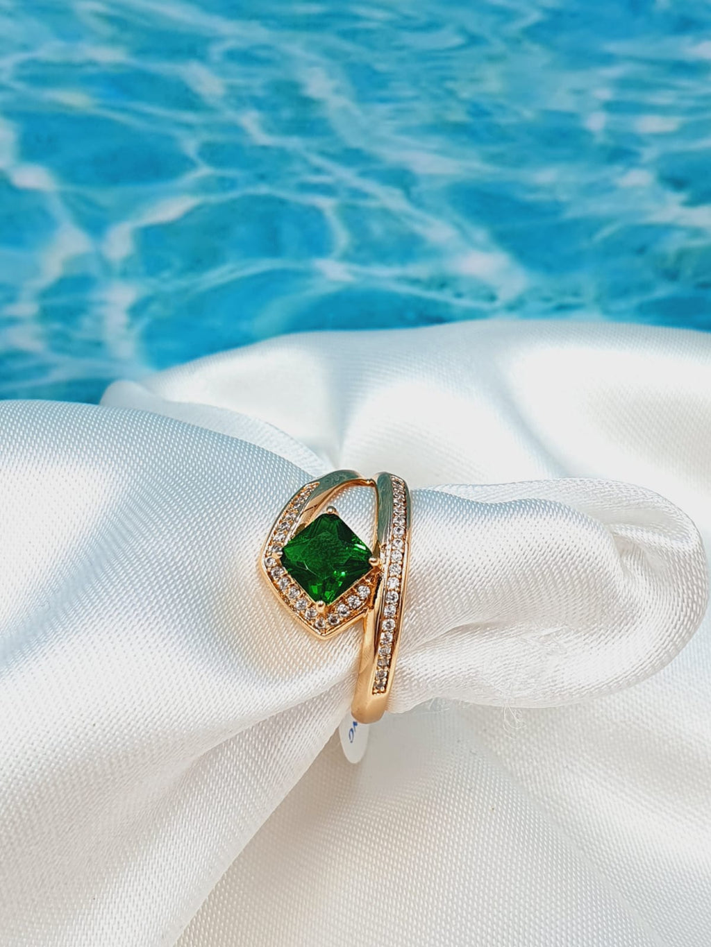 ANILLO 317