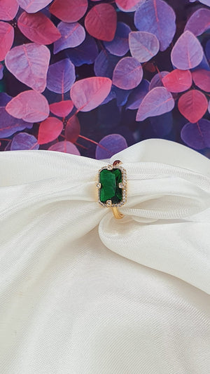 ANILLO 305