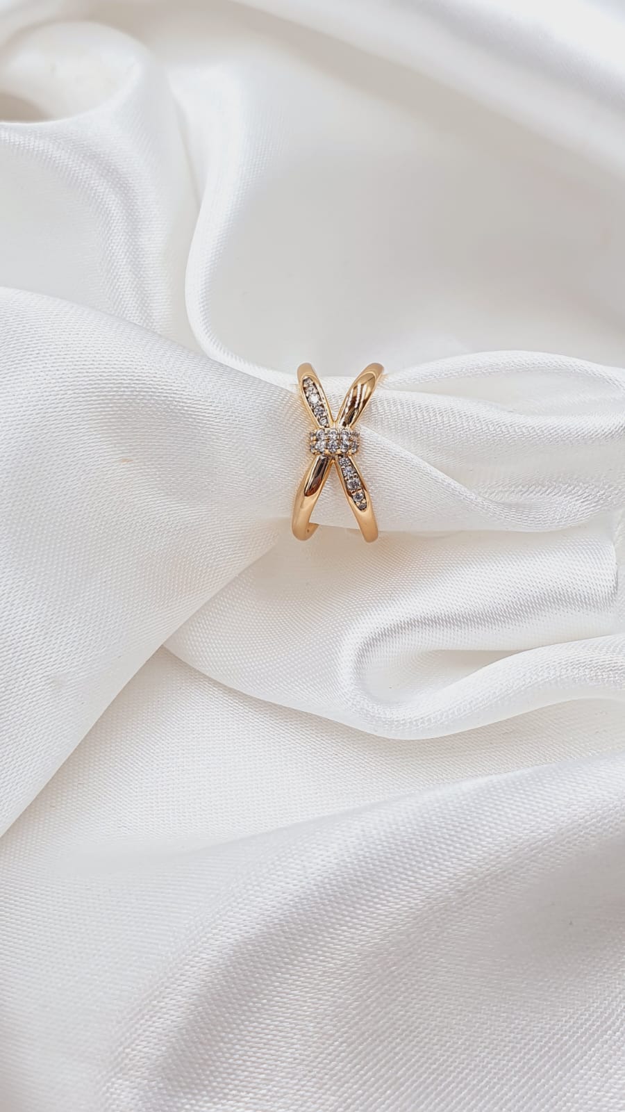 ANILLO 313