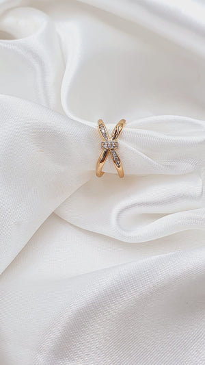 ANILLO 313
