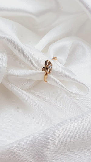 ANILLO 314